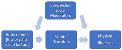 Editorial: The bio-psycho-social approach to understanding mental disorders